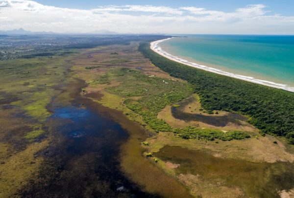 Centro de Fundão e Trevo de Setiba, em Guarapari, são alguns dos locais que você pode ir de Transcol pagando uma única tarifa. Confira as principais linhas que levam a 5 lugares para passear na Grande Vitória que você nem imaginava que era possível chegar de ônibus. A mais nova linha leva até o Parque Cultural Casa do Governador e começa a circular neste sábado (03)